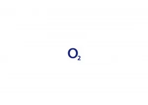 O2